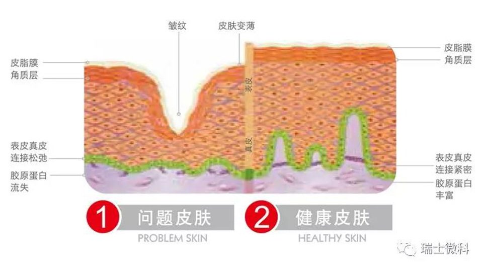 提供细胞营养和水份,强固补水,补漏,提供水油平衡的环境,修复皮脂膜